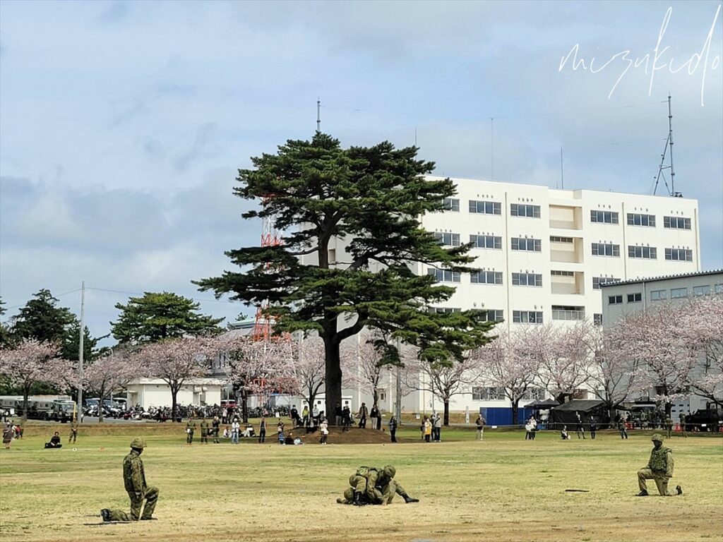 格闘訓練展示